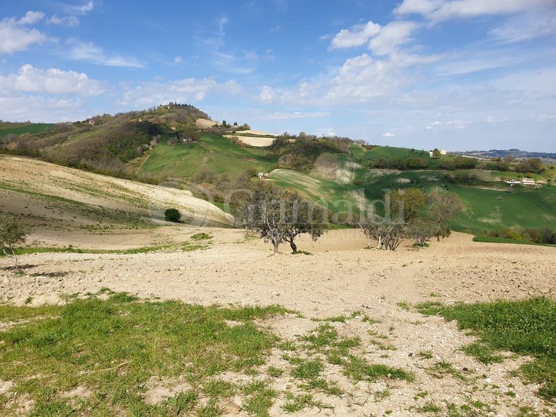 Terreno Agricolo Cingoli 5307VRG