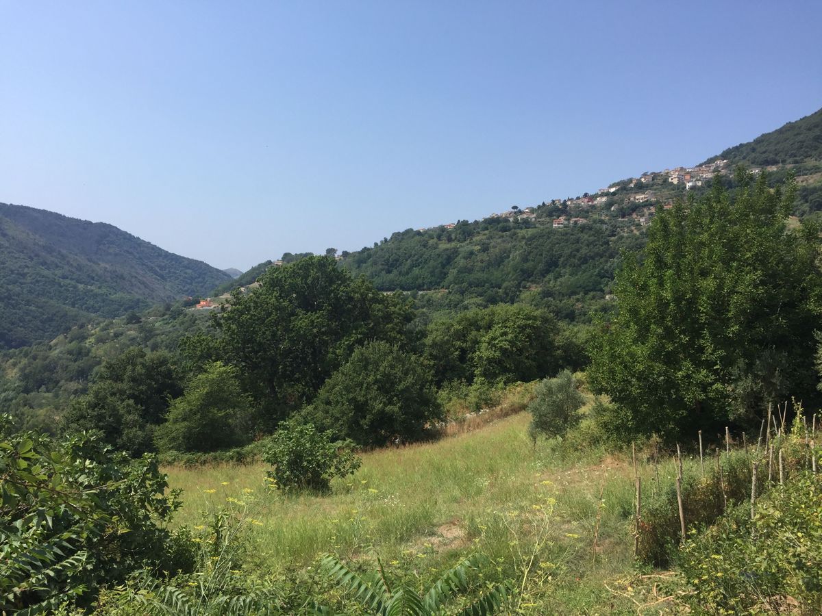 Vendita Terreno Agricolo Lago
