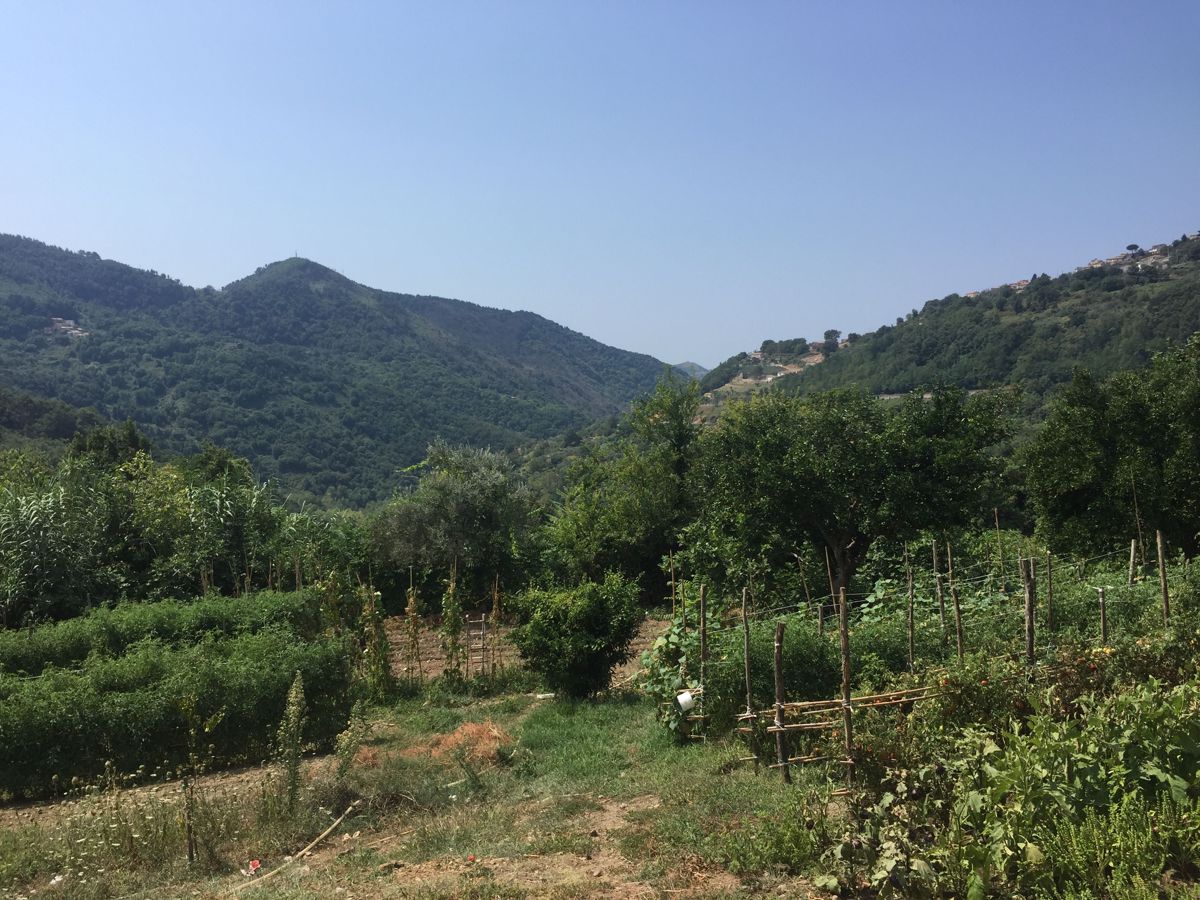 Vendita Terreno Agricolo Lago
