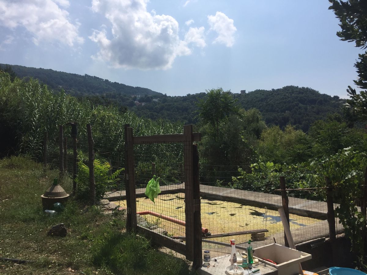 Vendita Terreno Agricolo Lago