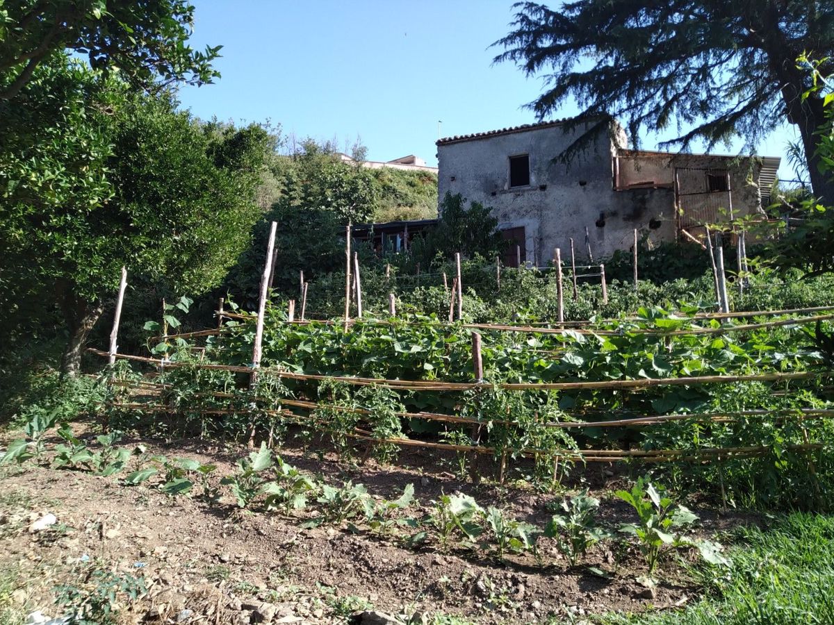 Vendita Terreno Agricolo Lago