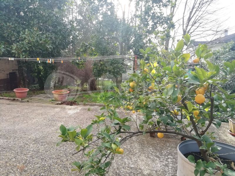 Villa o villino San Marcello 7646VRG