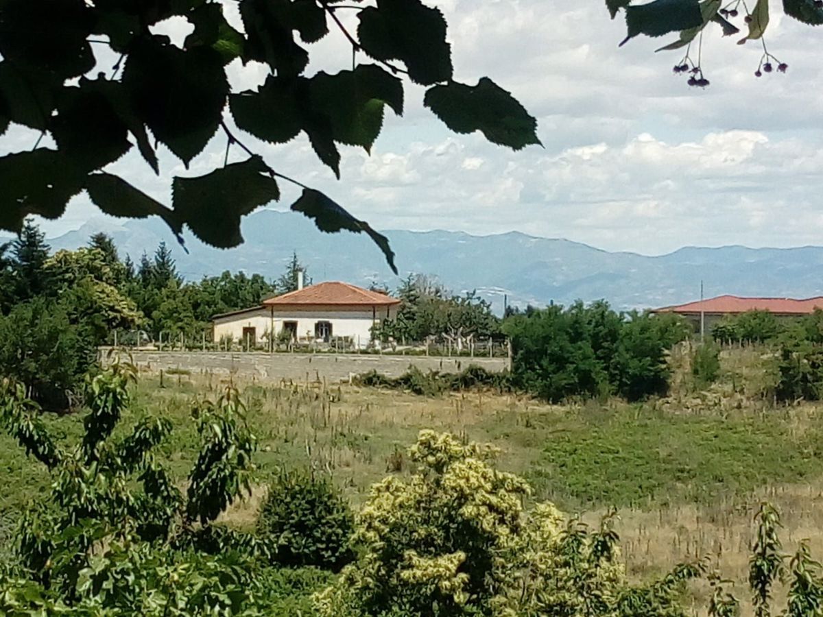 Villa o villino Corigliano-Rossano cd30939c-2e05-4846-a
