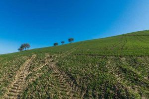 Fermo