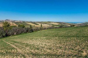 Fermo