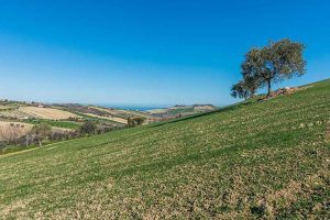 Fermo