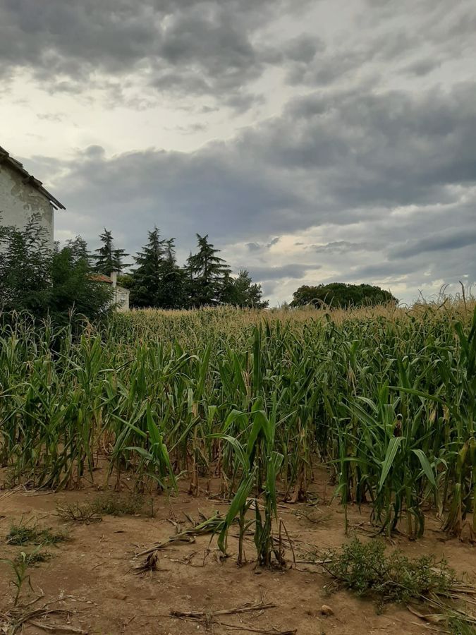 Vendita Terreno Agricolo Giulianova