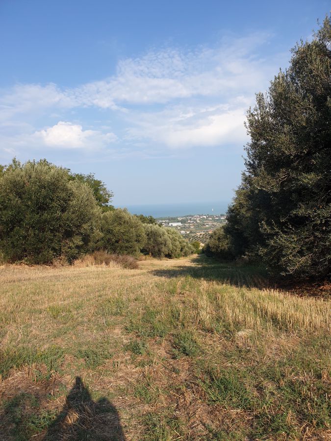 Colonnella
