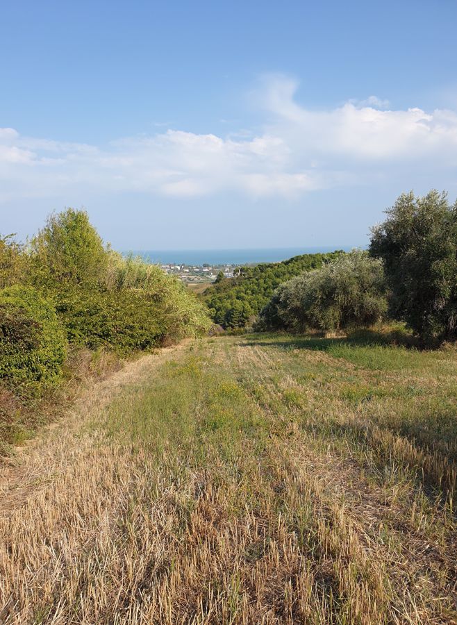 Colonnella