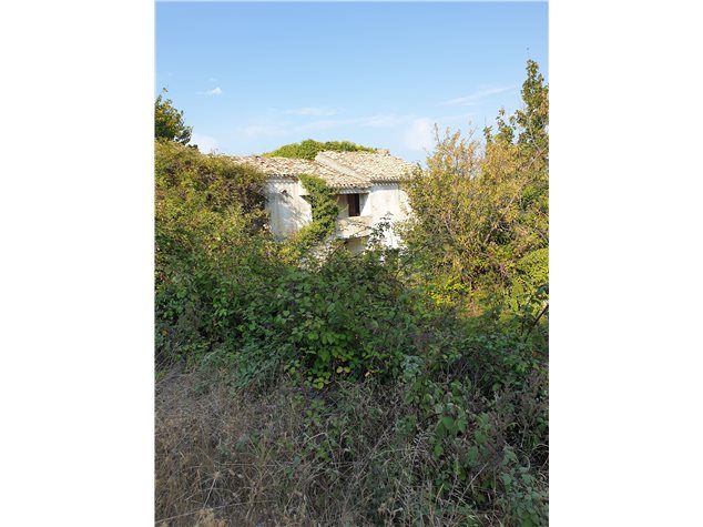 Colonnella