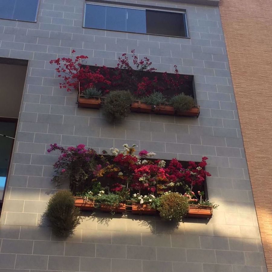 Appartamento Fiumicino Viale Donato Bramant