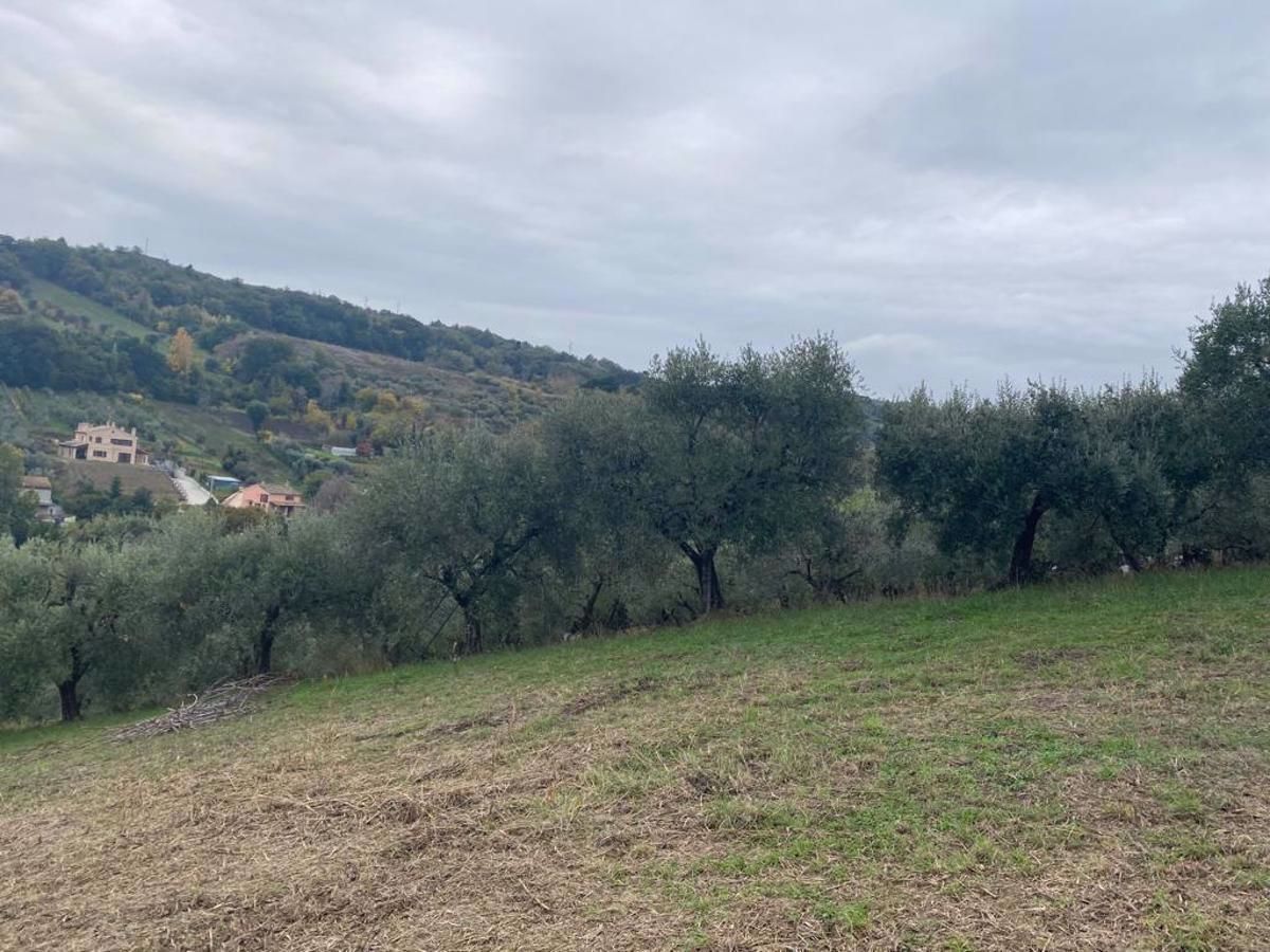 San Benedetto del Tronto