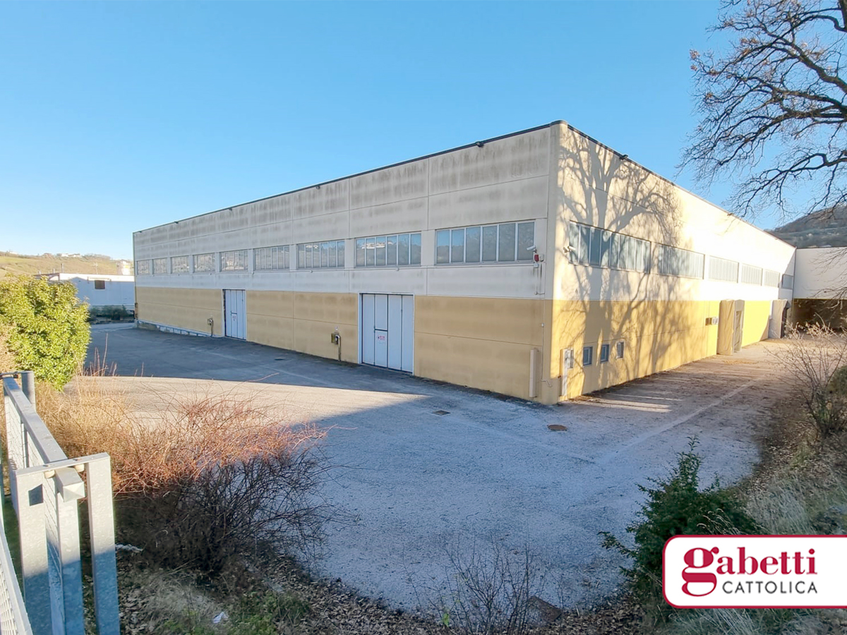 Magazzino Rimini CF001ARG