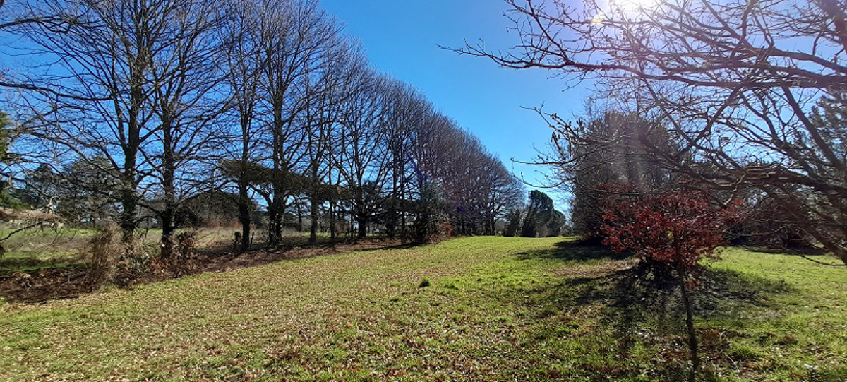 Vendita Terreno Agricolo Manziana