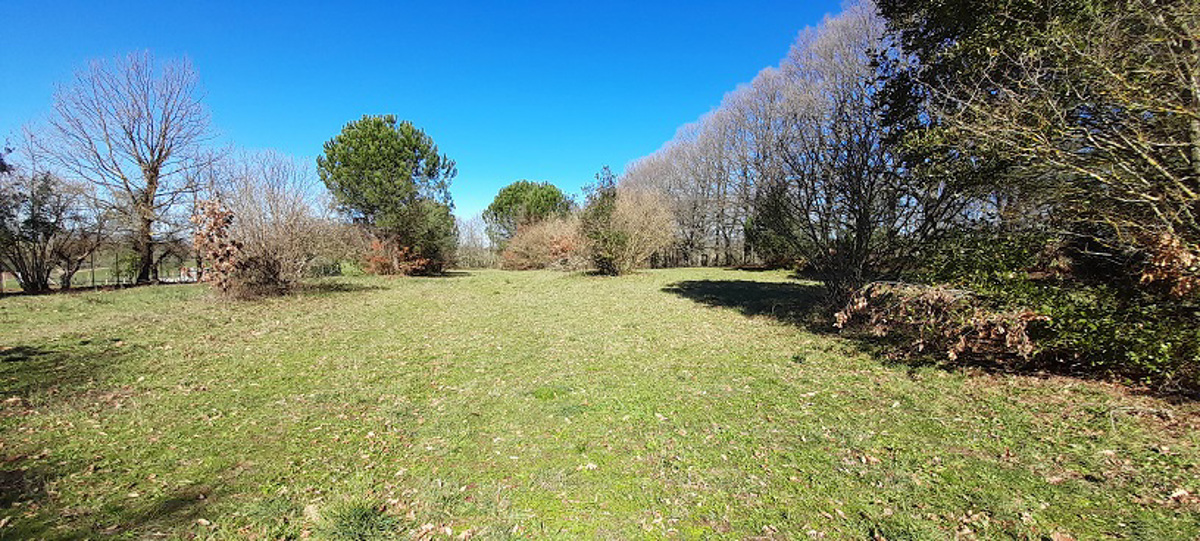 Vendita Terreno Agricolo Manziana