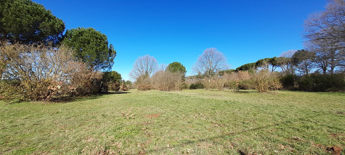 Vendita Terreno Agricolo Manziana