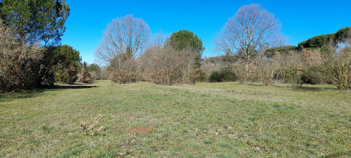 Vendita Terreno Agricolo Manziana