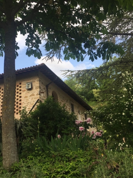 Agriturismo in Vendita Borgo San Lorenzo