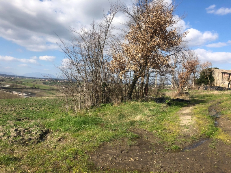Terreno Agricolo in Vendita Mirabella Eclano