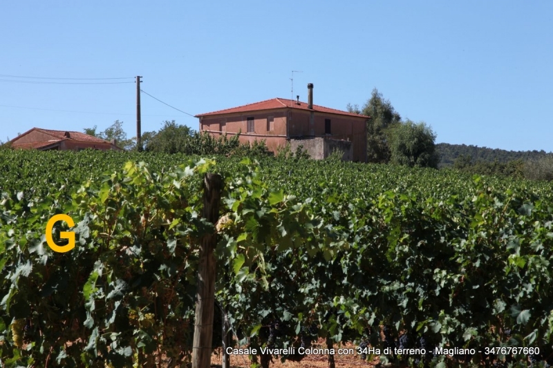 Azienda Agricola Magliano in Toscana poggio alla mozza