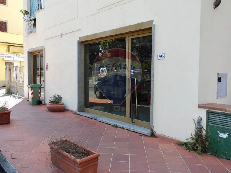 Locale Commerciale Lucca 22161009-375