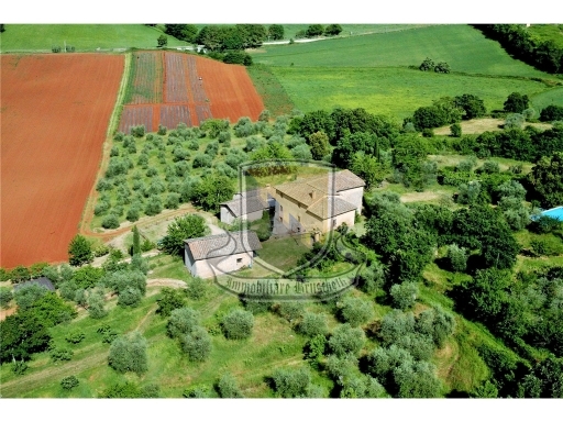 Azienda Agricola in Vendita SOVICILLE
