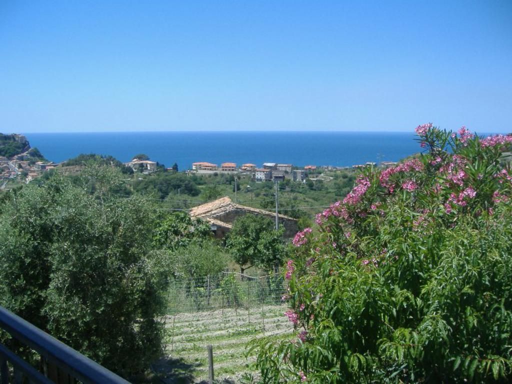Vendita Appartamento Belvedere Marittimo