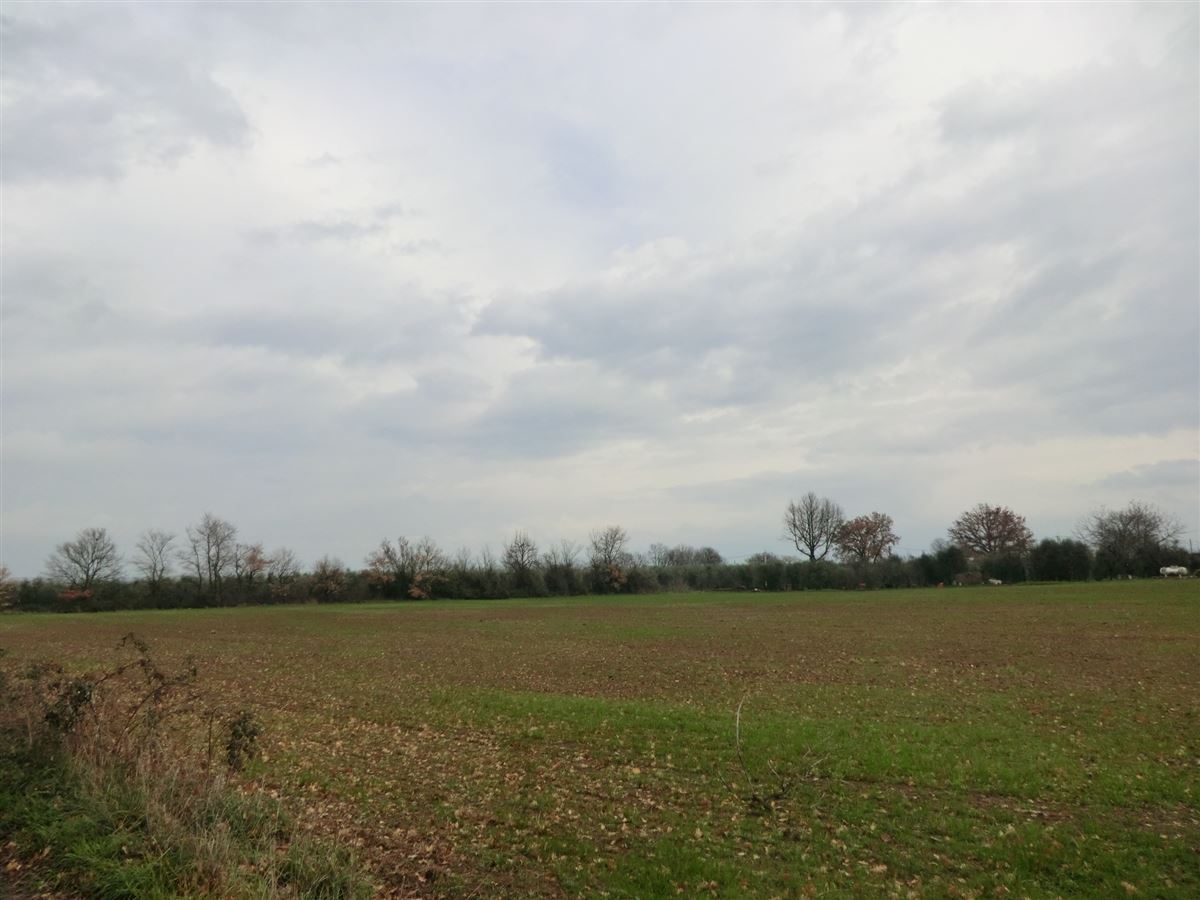 Terreno Agricolo in Vendita Corchiano