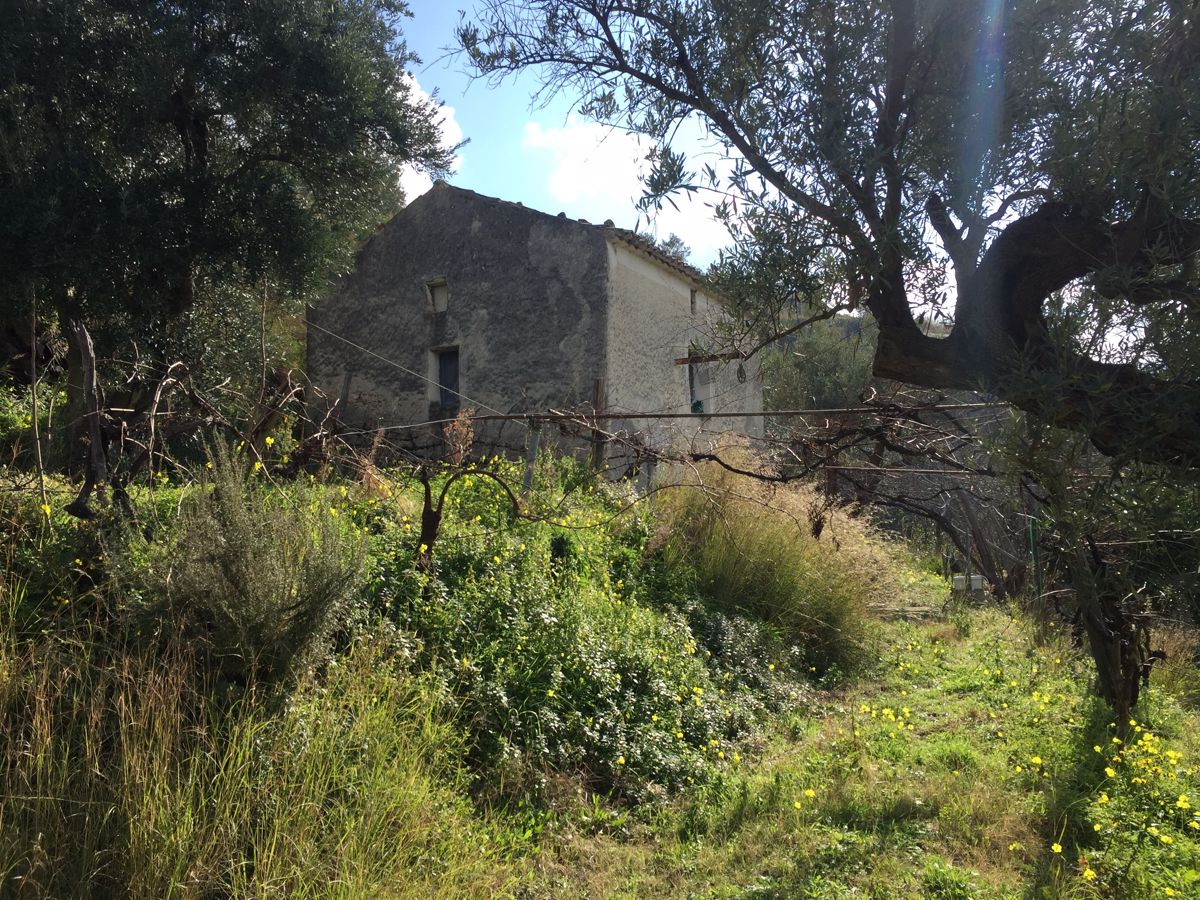 Rustico/Casale/Corte in Vendita Amantea