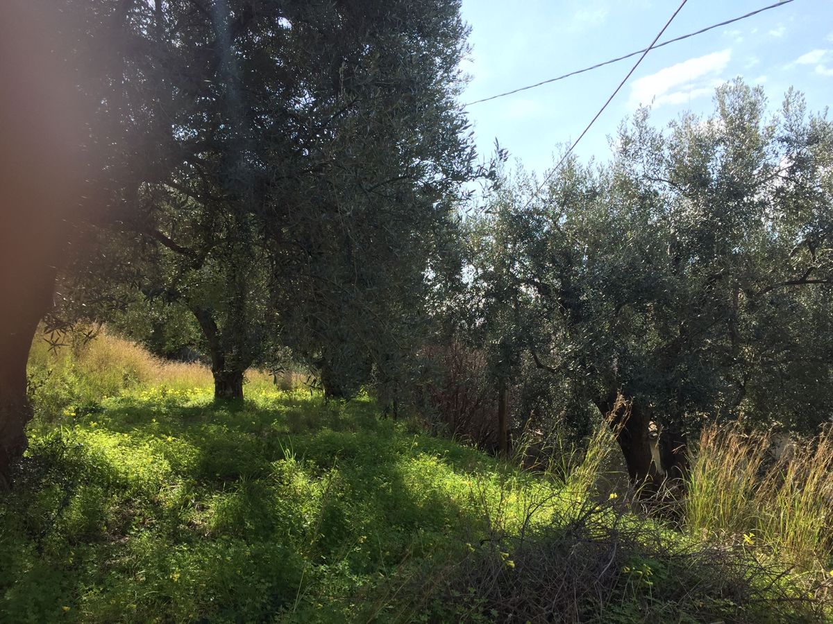 Vendita Rustico/Casale/Corte Amantea