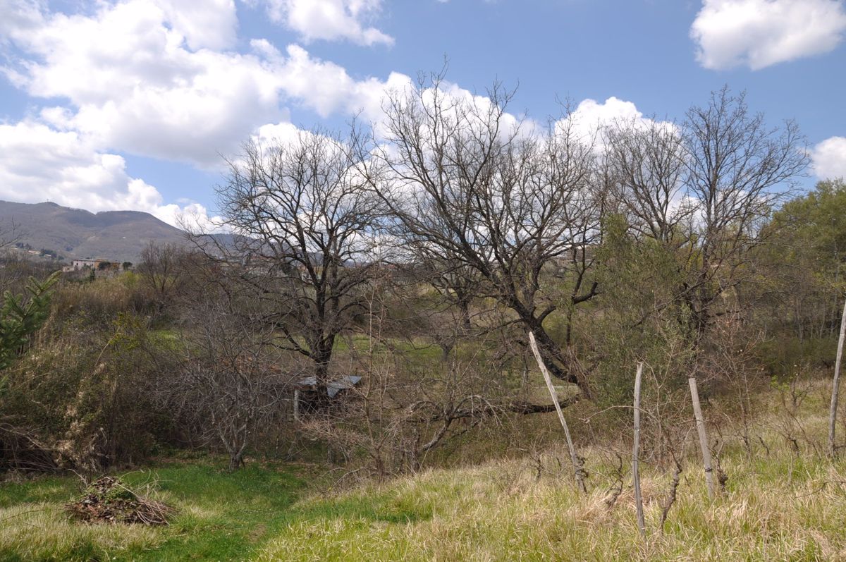 Terreno Agricolo in Vendita Castrolibero