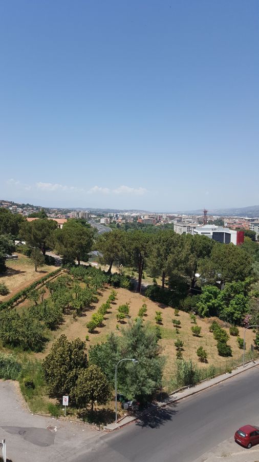 Vendita Appartamento Cosenza