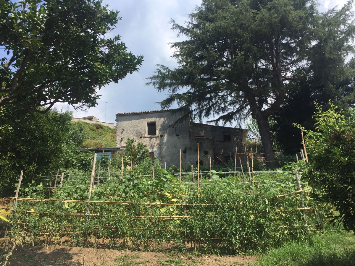Vendita Terreno Agricolo Lago