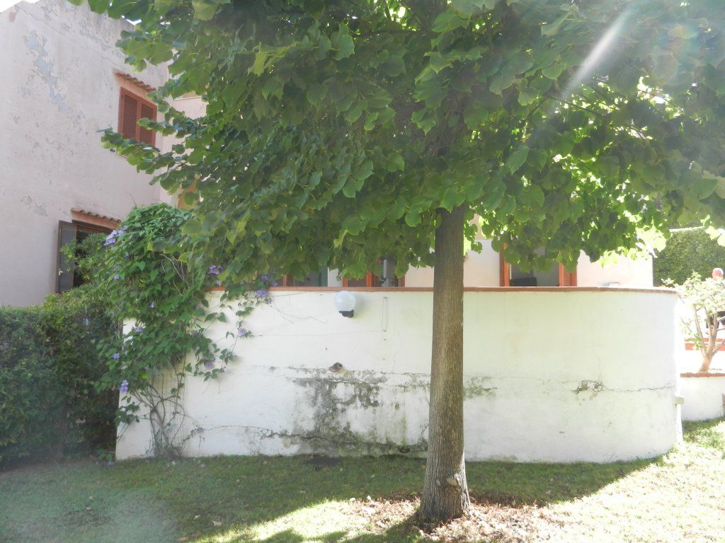 Vendita Appartamento Scalea