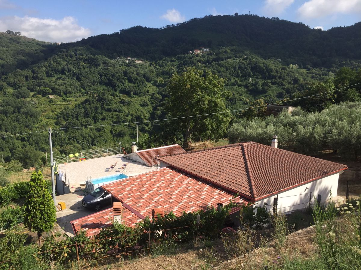 Terreno Agricolo in Vendita Lago