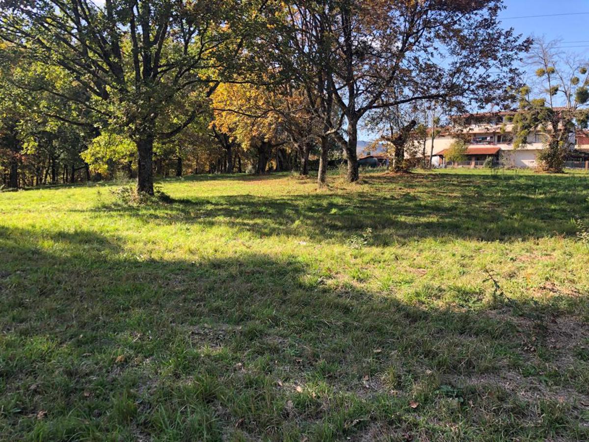 Terreno Agricolo in Vendita Mangone