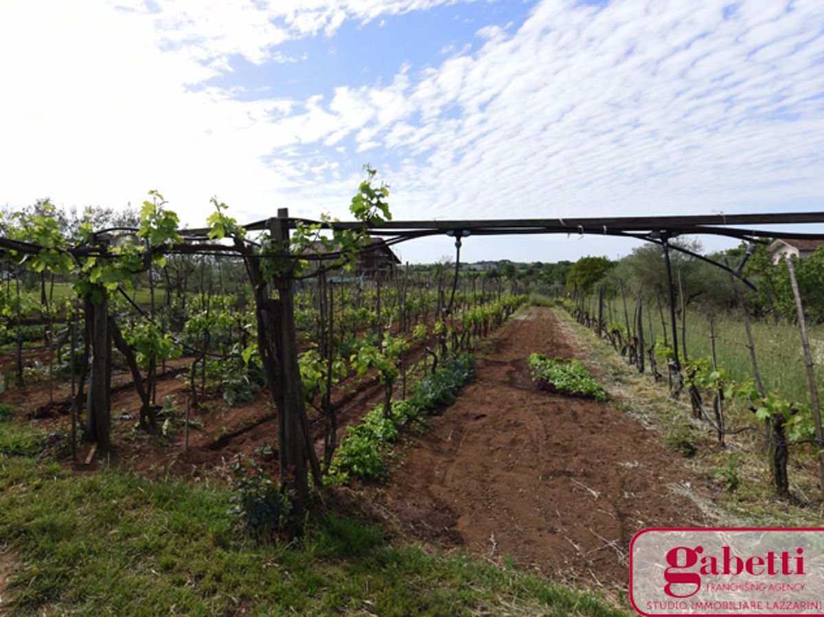 Terreno Agricolo in Vendita Civita Castellana