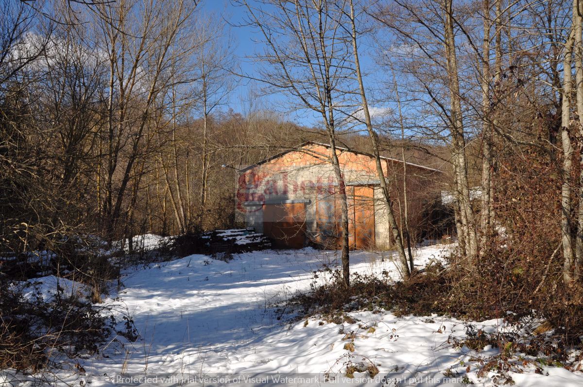 Capannone Industriale in Vendita Bianchi