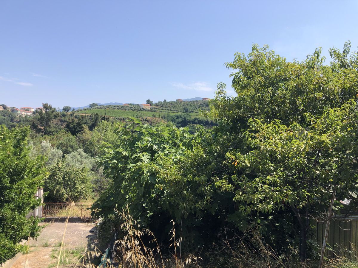 Vendita Casa Indipendente Cosenza