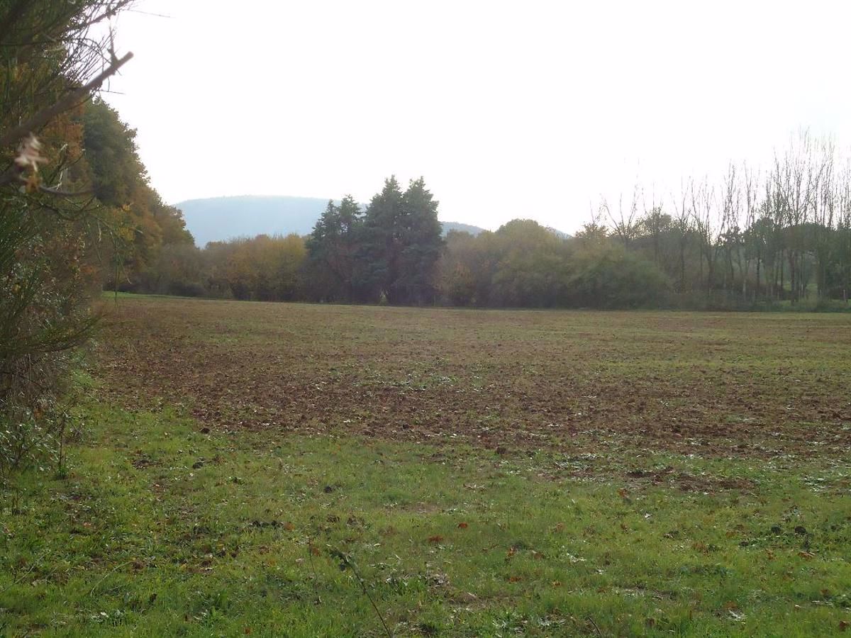 Terreno Agricolo in Vendita Manziana