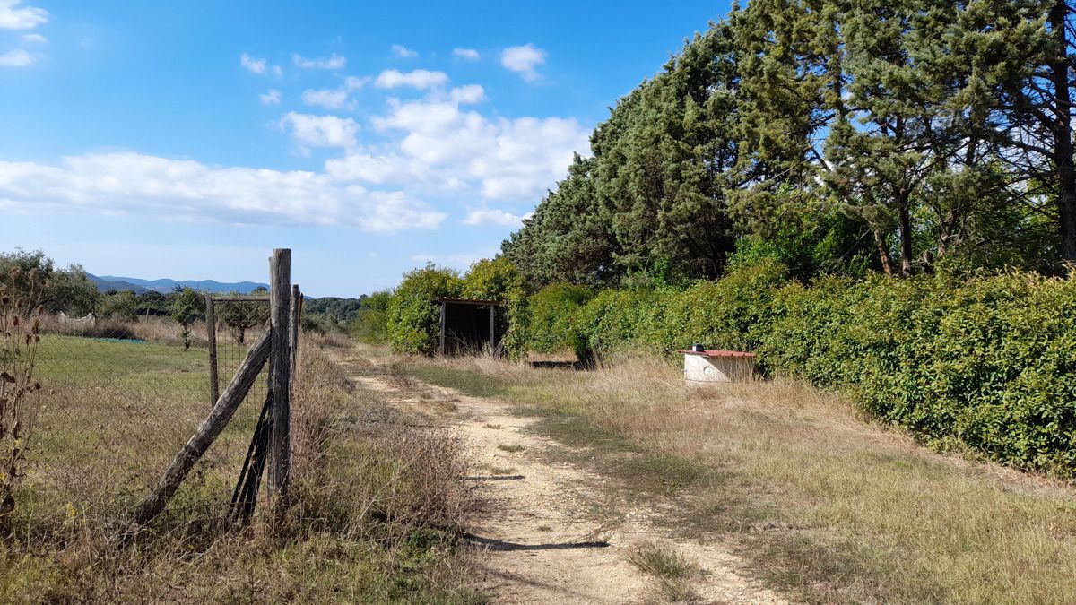 Terreno Agricolo in Vendita Manziana