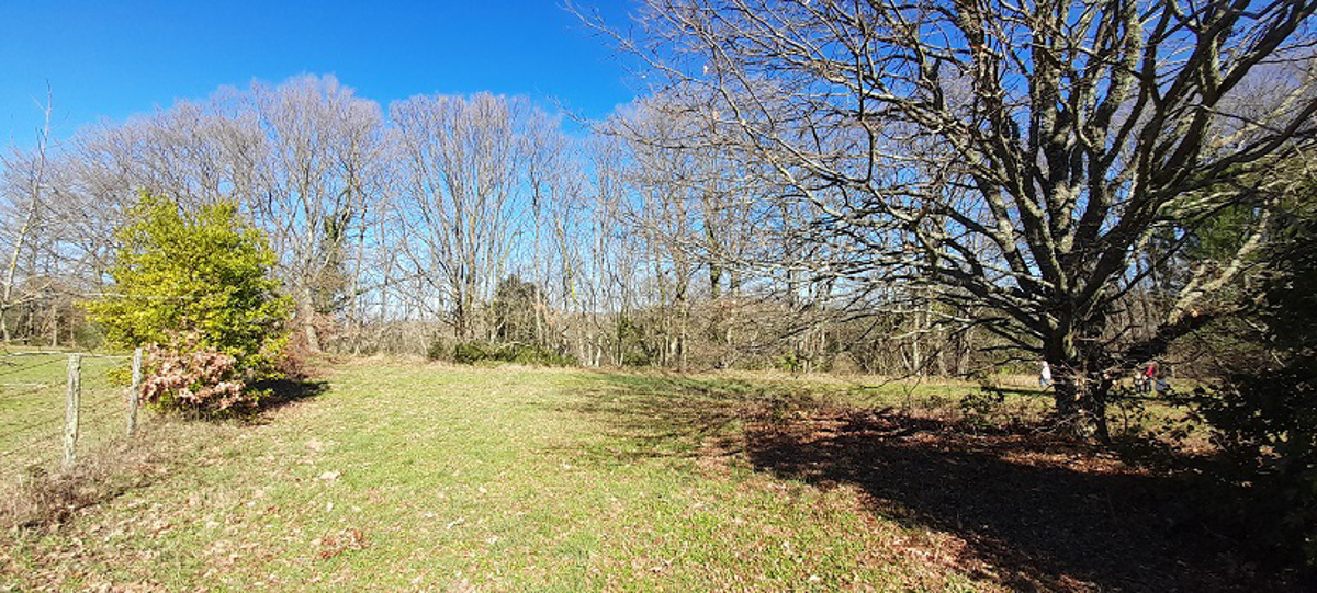 Vendita Terreno Agricolo Manziana