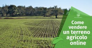 Come vendere un terreno agricolo